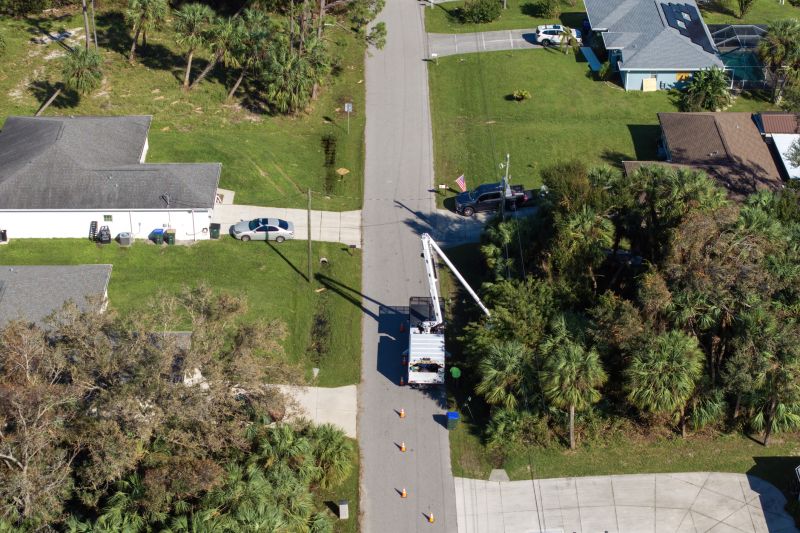 Tree Curbing Installation